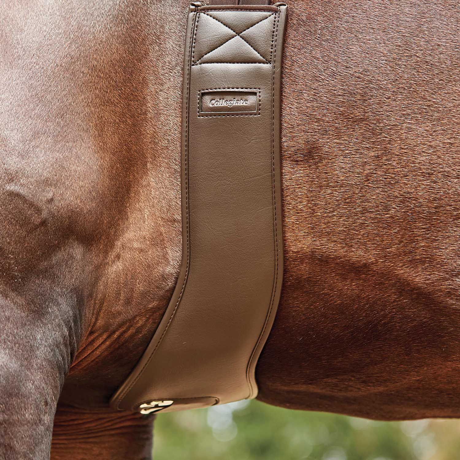 Collegiate Anatomic Girth, Brown - Healthber