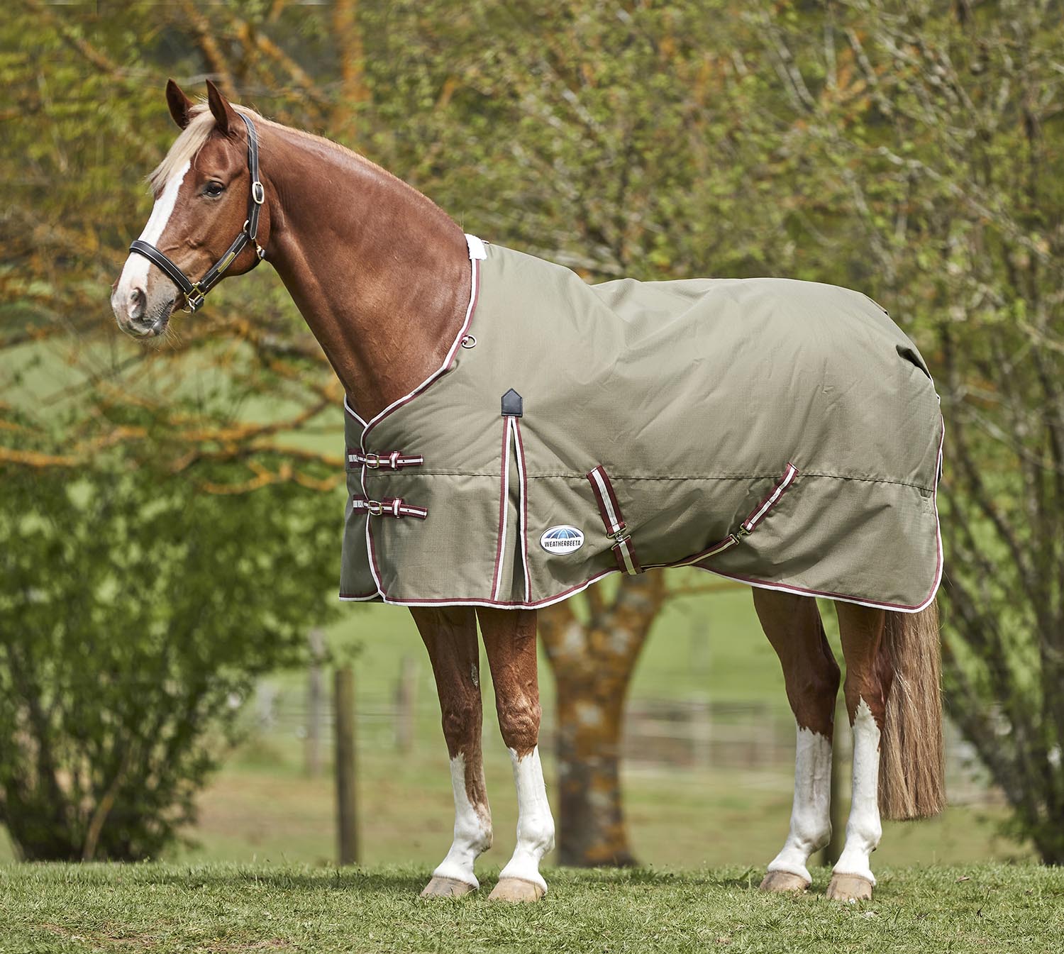 WeatherBeeta ComFITec Essential Standard Neck Medium Weight Horse Blanket - Healthber