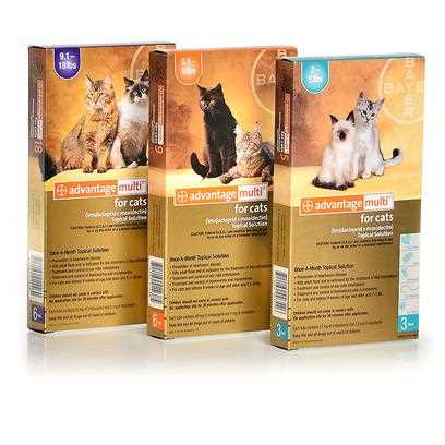 Advantage Multi Topical Solution for Cats, 9.1-18 lbs, 6 treatments, 80 mg Imidacloprid and 8 mg Moxidectin - Healthber