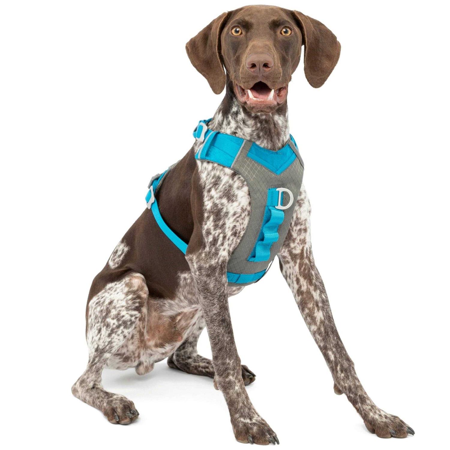 Journey Air Kurgo Dog Harness - Healthber