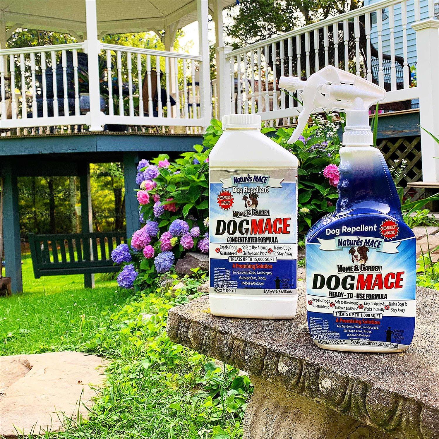 Nature’s Mace Dog Repellent - Healthber