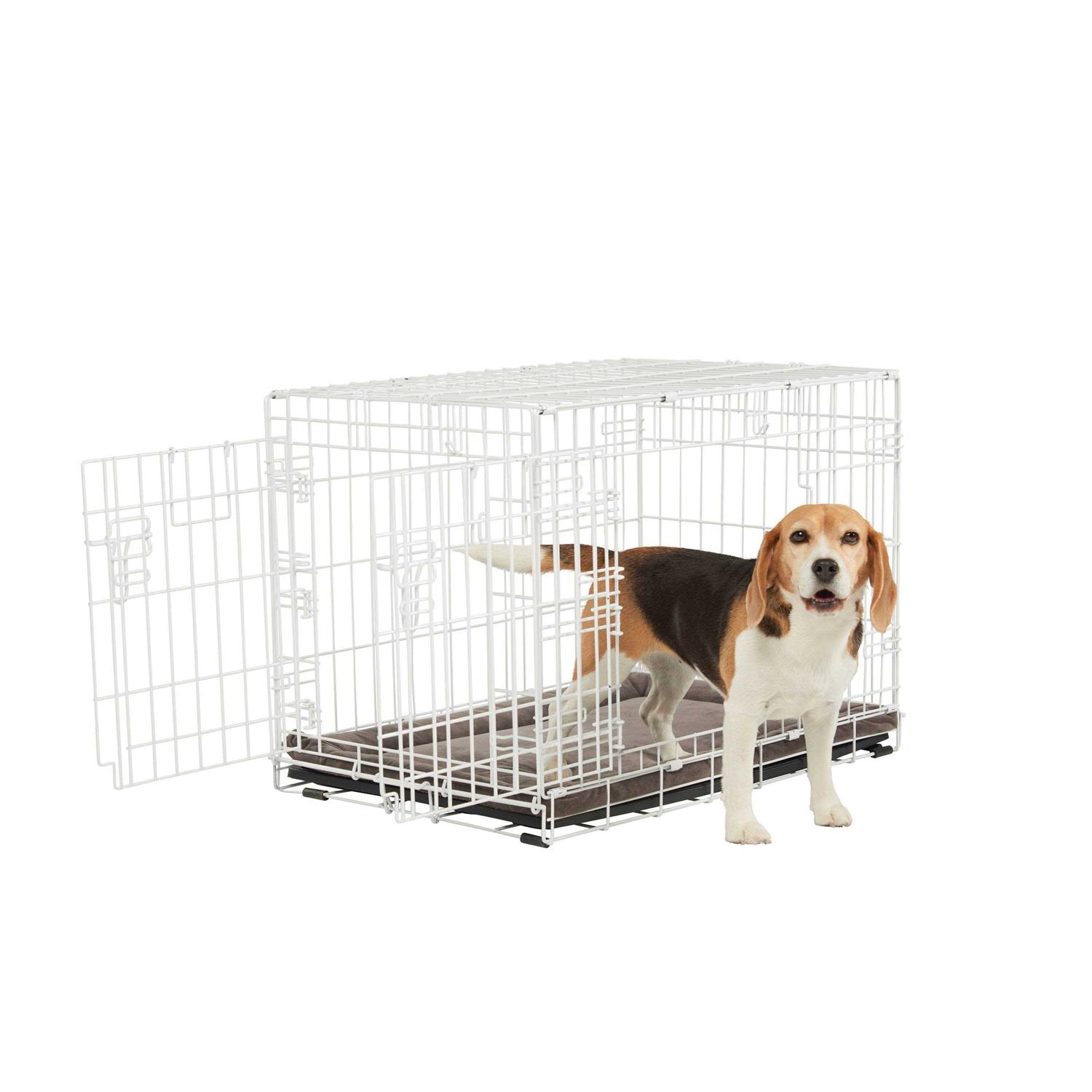 EveryYay White 2-Door Dog Crate H - Healthber