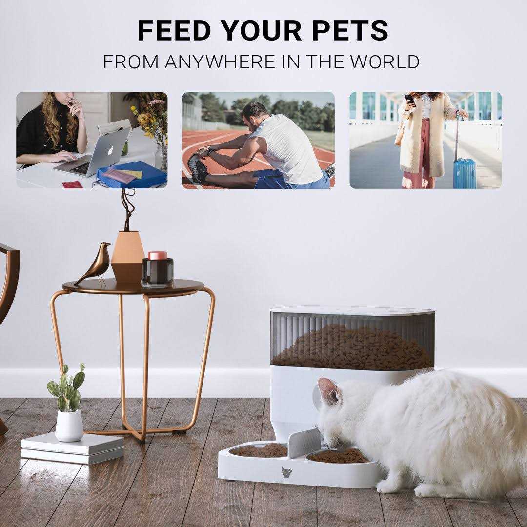 Instachew Cats & Dogs Purechew Double Automatic Pet Feeder - Healthber