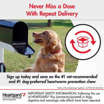 Heartgard Plus Chewables 1pk 01-25lbs for Dogs - Healthber