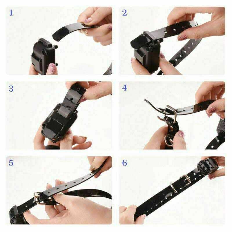 Dog Training Collar - Healthber