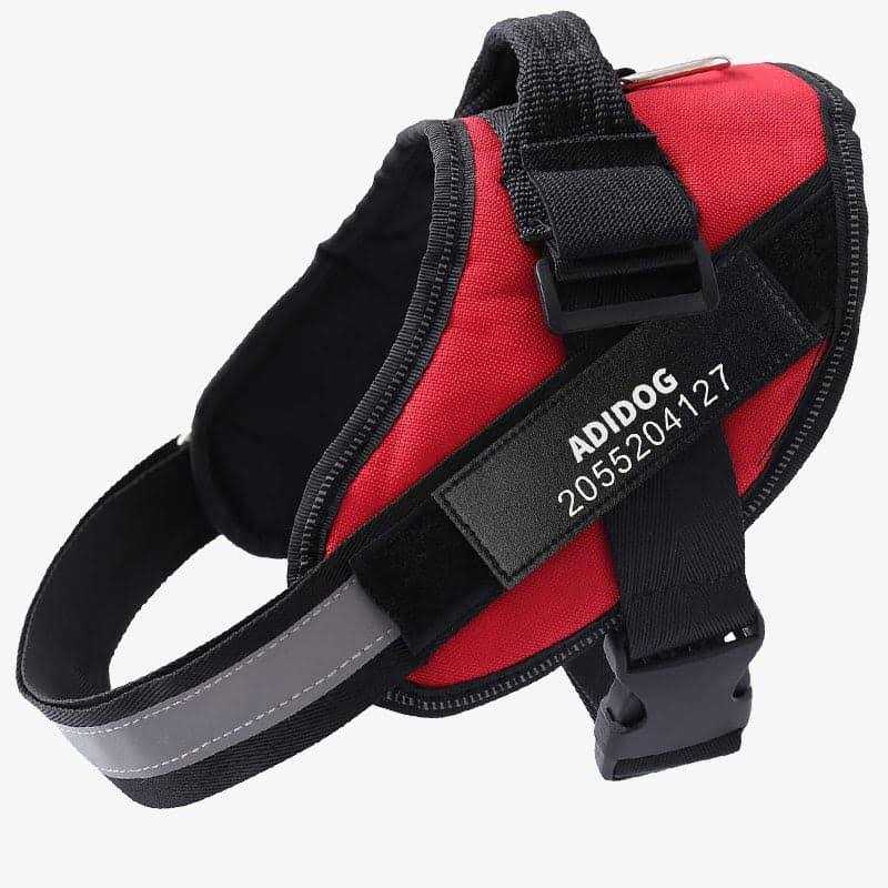 PawPawify Lifetime Warranty Personalized Easy-On No Pull Dog Harness - Healthber