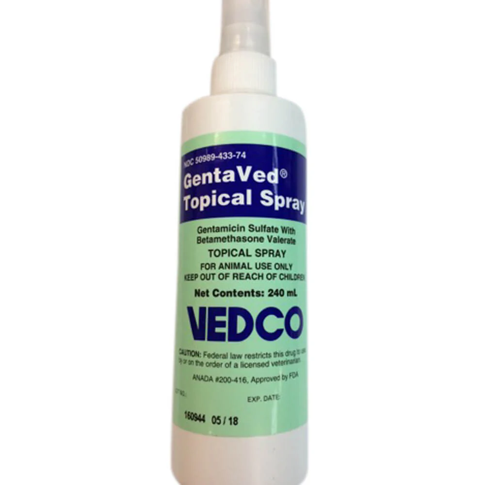 Rx GentaVed (gentamicin sulfate with betamethasone valerate) Topical Spray for Dogs - Healthber