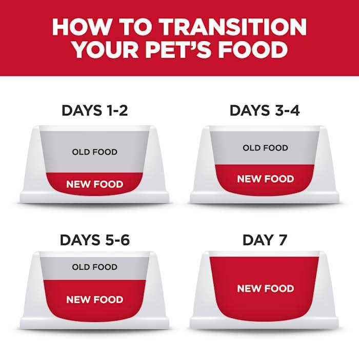 Hill’s Science Diet Puppy Small & Mini Beef & Barley Entrée Canned Dog Food - Healthber