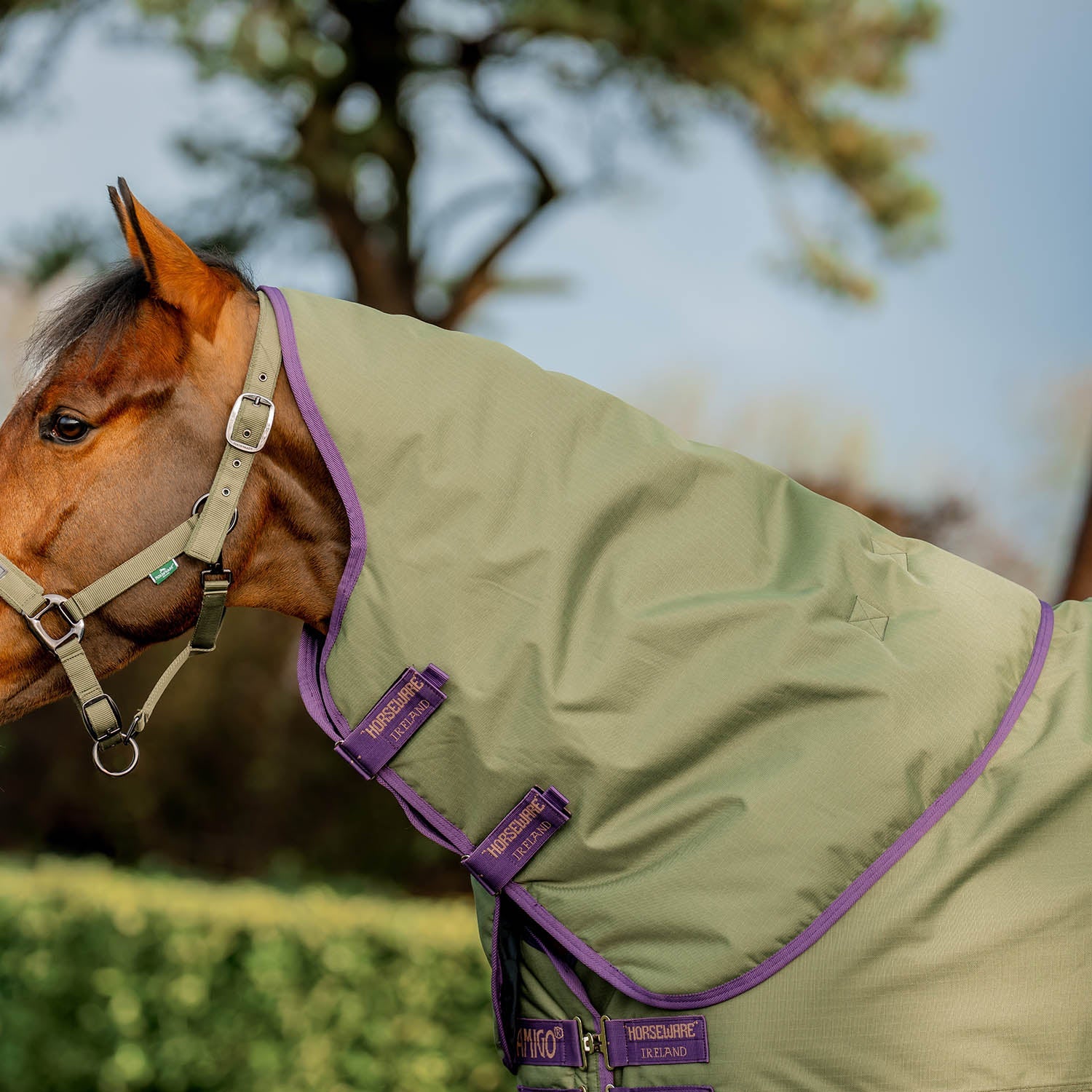 AMIGO Hero Ripstop Plus Medium Weight Turnout Blanket - Healthber