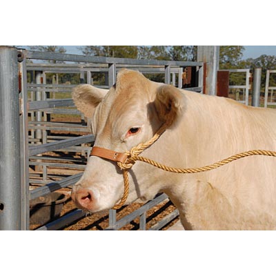 Economy Rope Halter with Leather Nose Band - Healthber