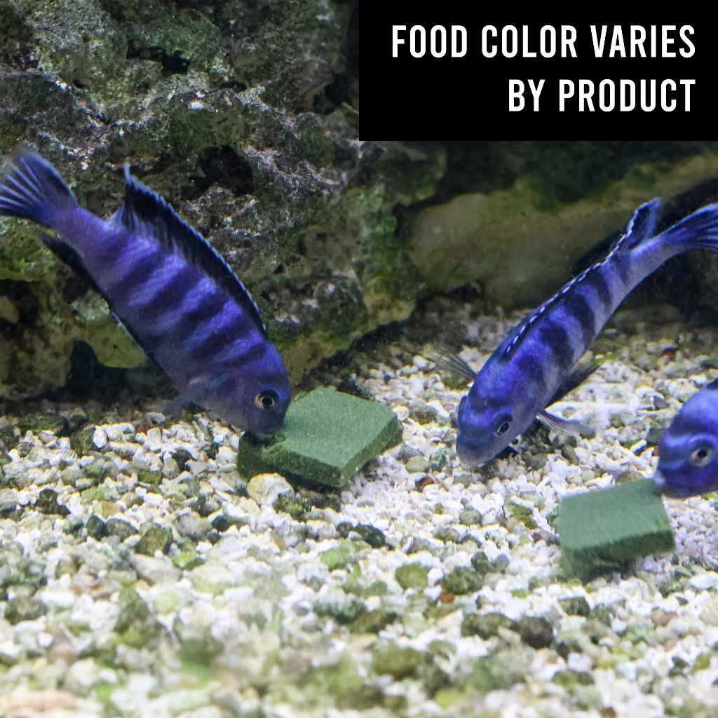 Repashy Goldfish Koi Gel Food - Healthber