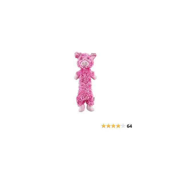 Charming Pet Lil Dudes Pig Dog Toy - Healthber