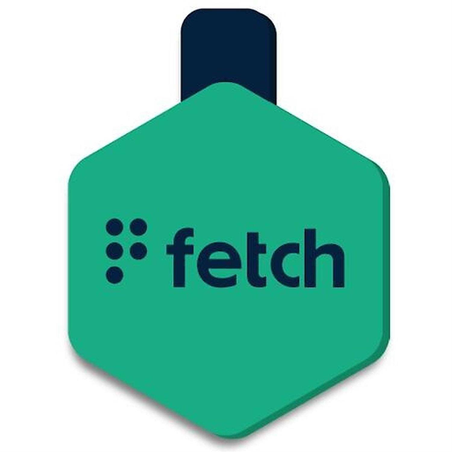 Lifekey Fetch ID Tag - Healthber