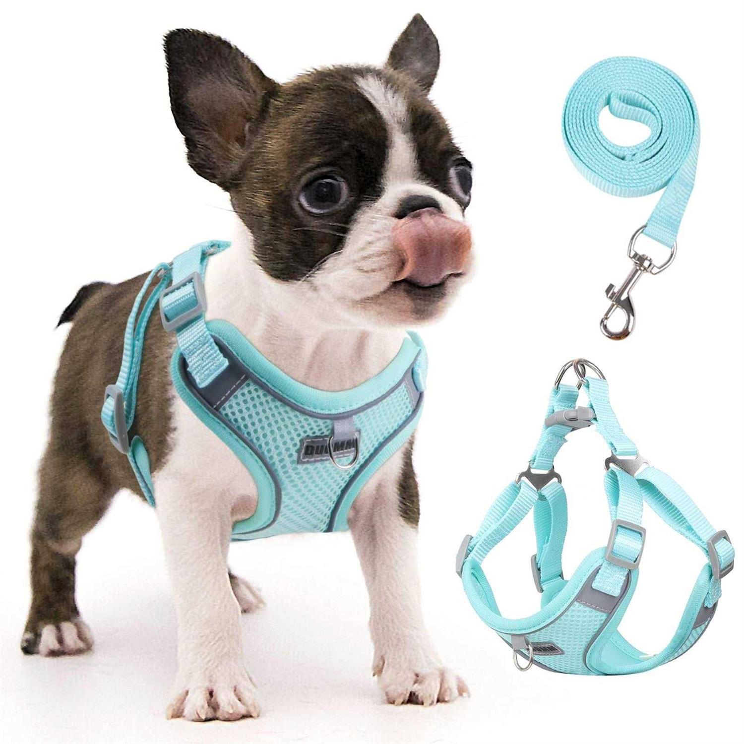 rennaio Dog Harness No Pull, Adjustable Puppy Harness with 2 Leash Clips, Ultra Padded Dog Vest Harness, Reflective Dog Harness and Leash - Healthber