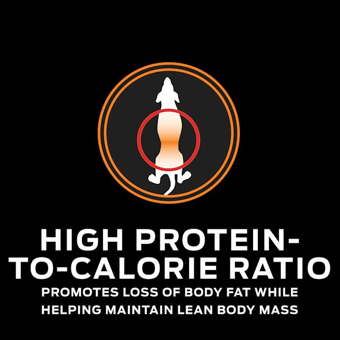 Purina Pro Plan Veterinary Diets OM Overweight Management Formula Dry Dog Food - Healthber