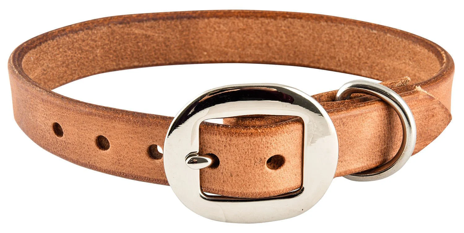 San Saba Dog Collar - Healthber