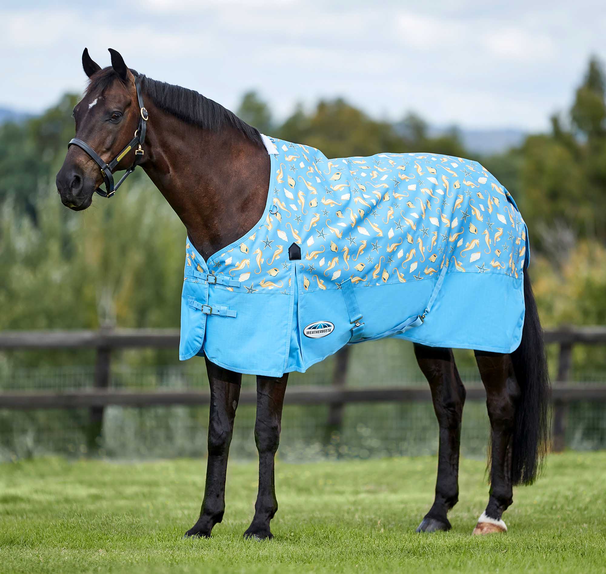 WeatherBeeta ComFITec Essential Standard Neck Lite Horse Fly Sheet, Seahorse - Healthber