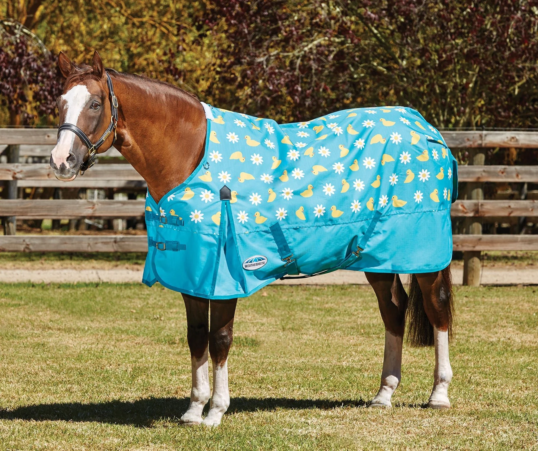 WeatherBeeta ComFITec Essential Standard Neck Sheet - Healthber