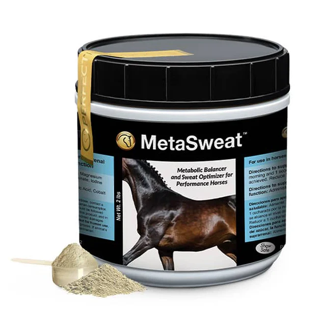 MetaSweat - Healthber