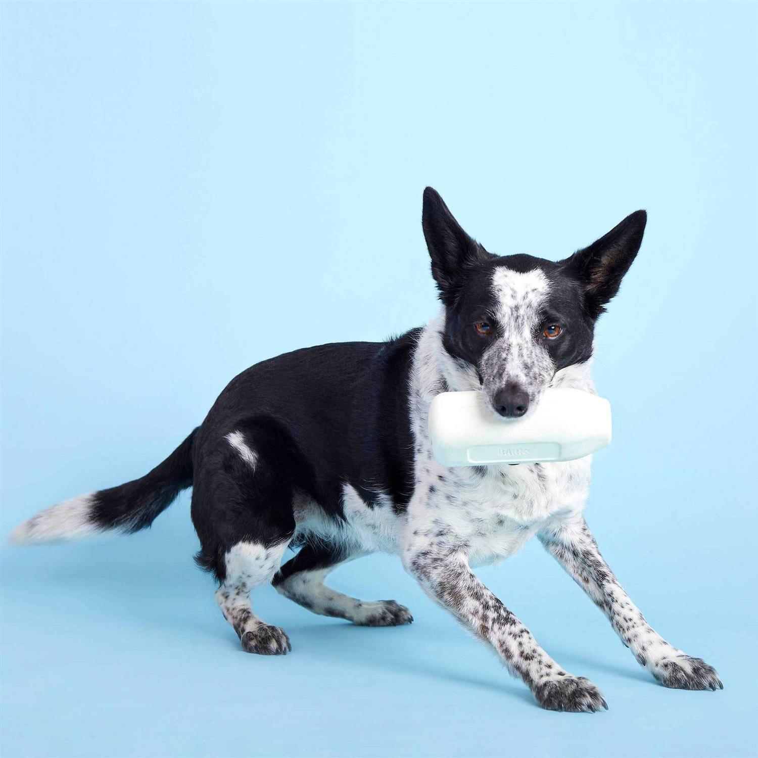 BARK Super Chewer Cow Dog Toy - Healthber