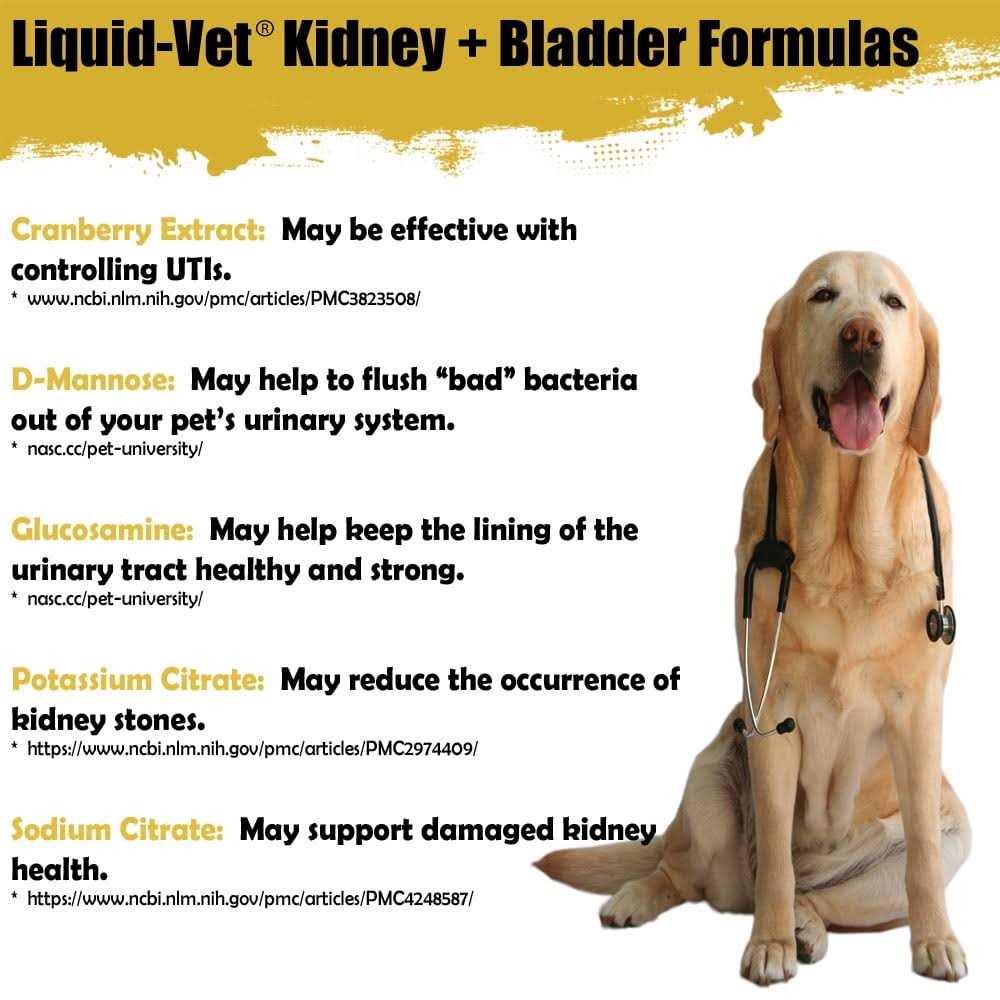 Liquid Vet Feline Kidney & Bladder Support - Healthber