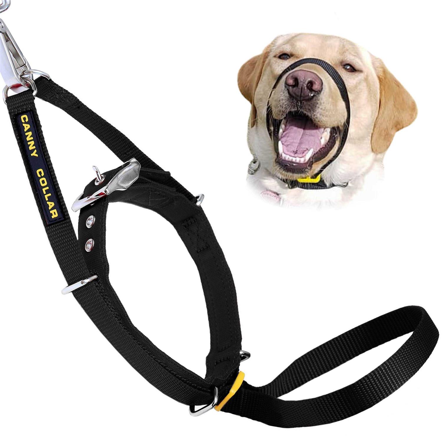 Canny Collar Size 3 - Healthber