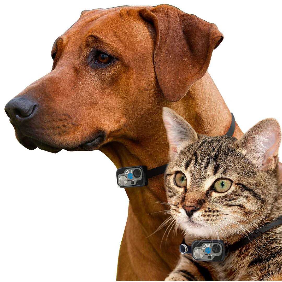 High Tech Pet WiFi Enabled Smartphone Controlled Automatic Dog and Cat Door - Healthber