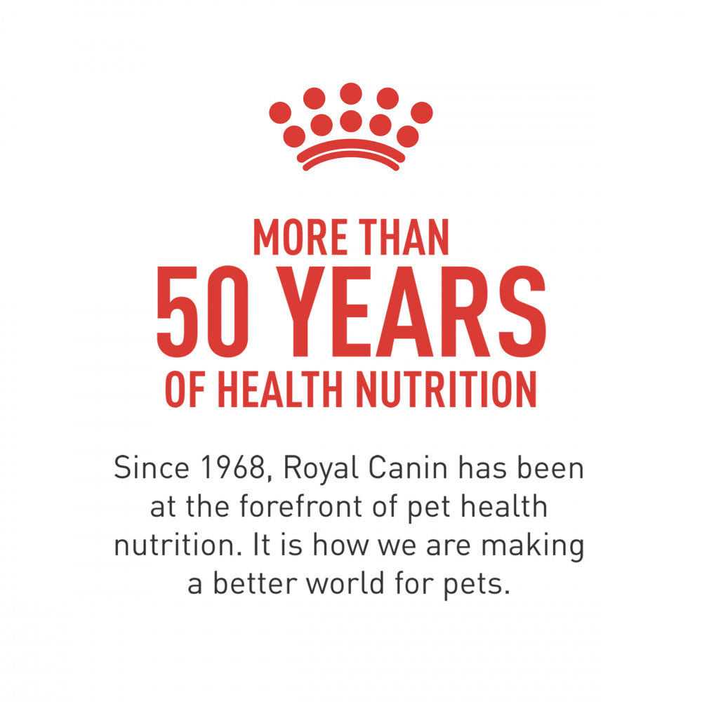 Royal Canin Breed Health Nutrition Dachshund Puppy Dry Dog Food - Healthber