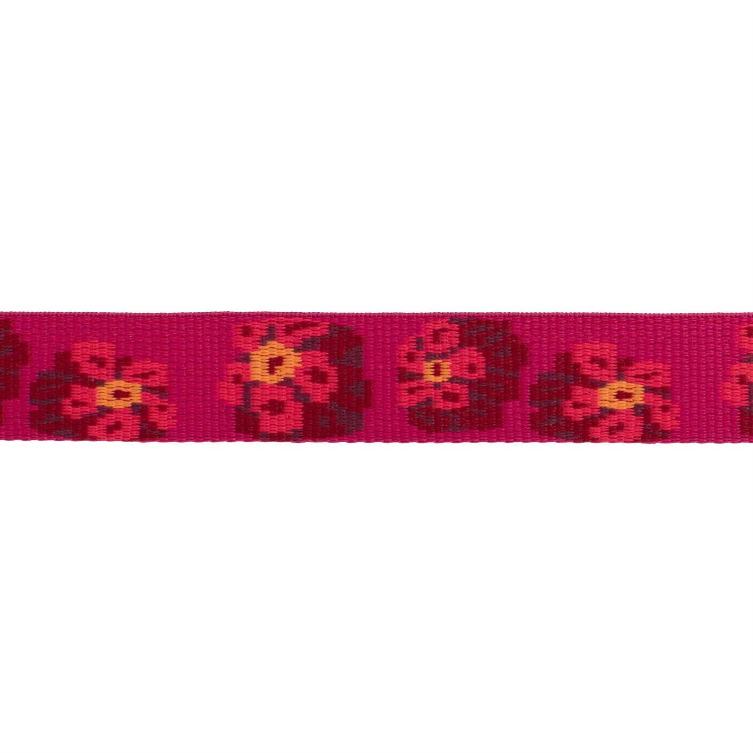 Ruffwear Crag Collar - Healthber