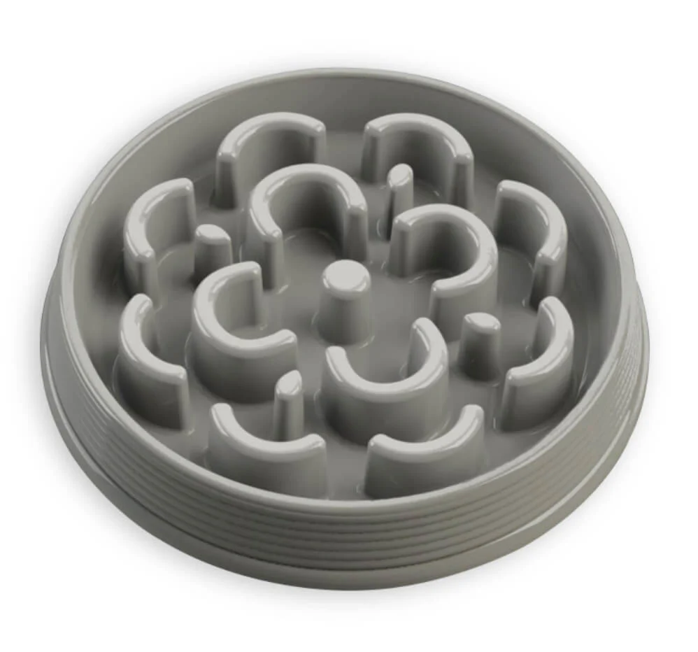 Slow Chow Feeder, Medium, 3 Cup - Healthber