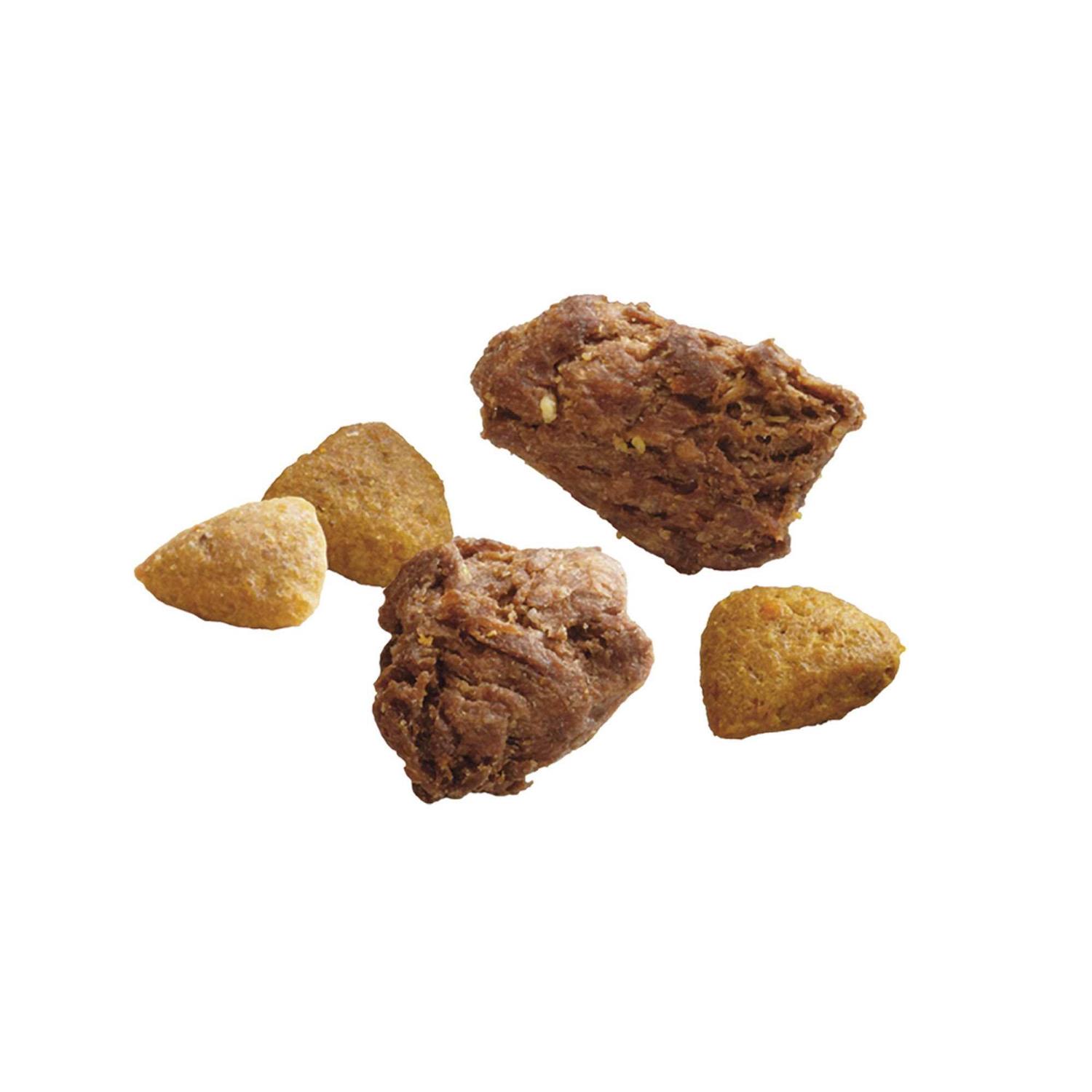 Purina ONE Real Turkey & Venison True Instinct Dry Dog Food - Healthber
