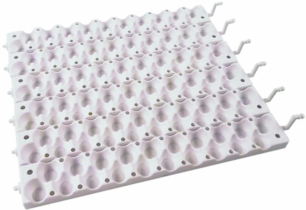 Quail Rails - Healthber