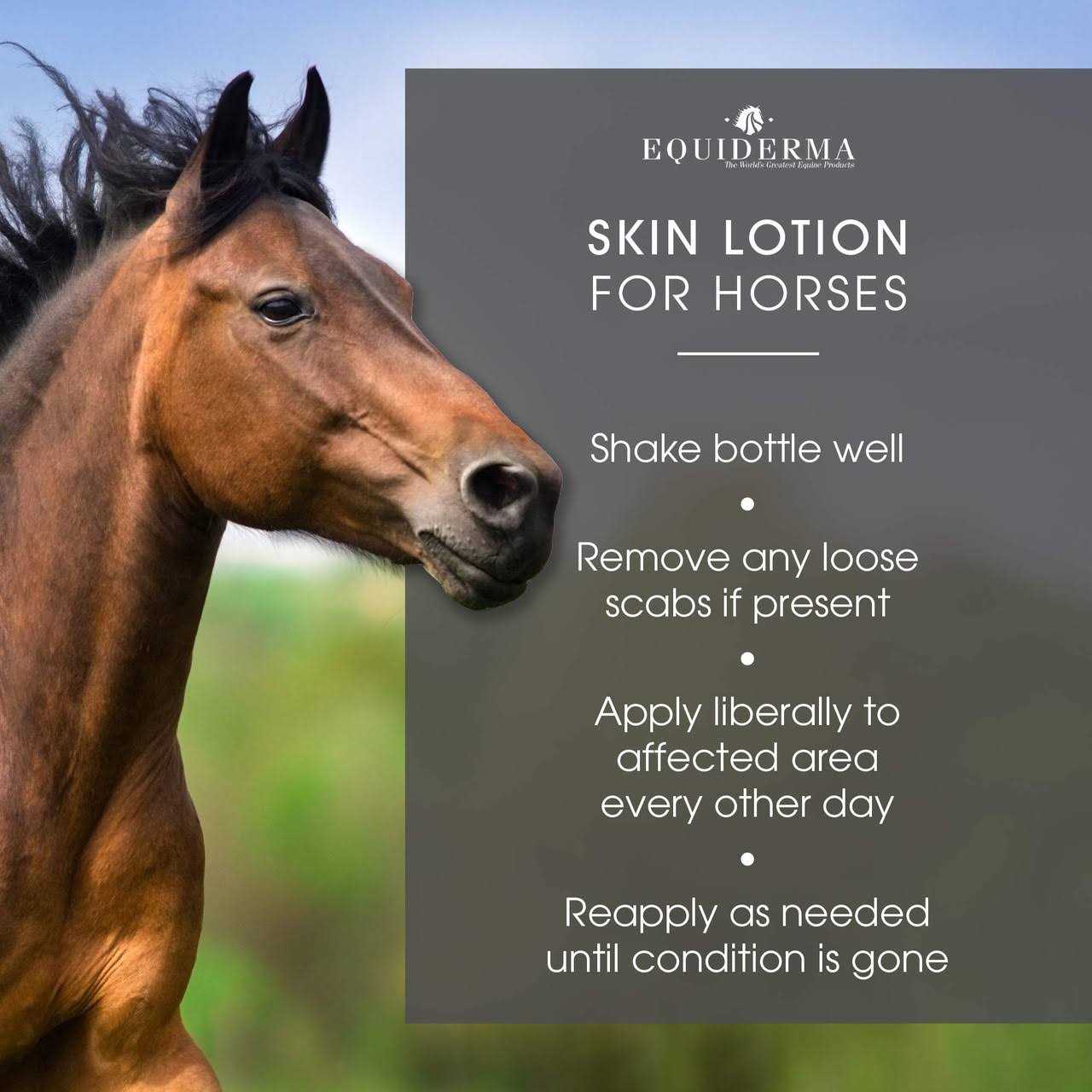 Equiderma Skin Lotion - Healthber