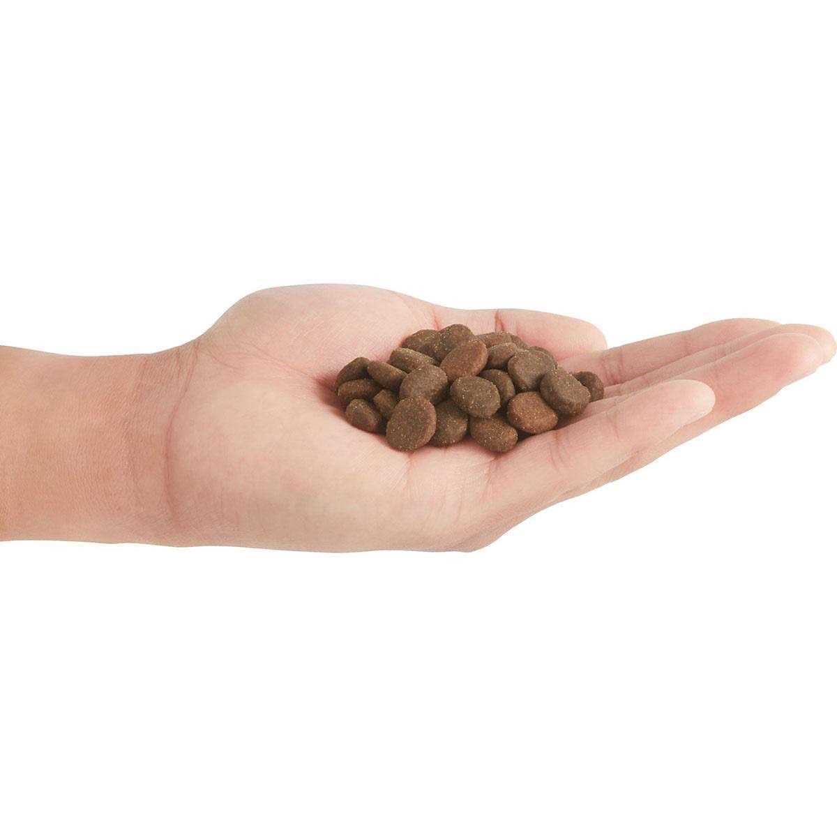 Orijen Regional Red Dry Dog Food - Healthber