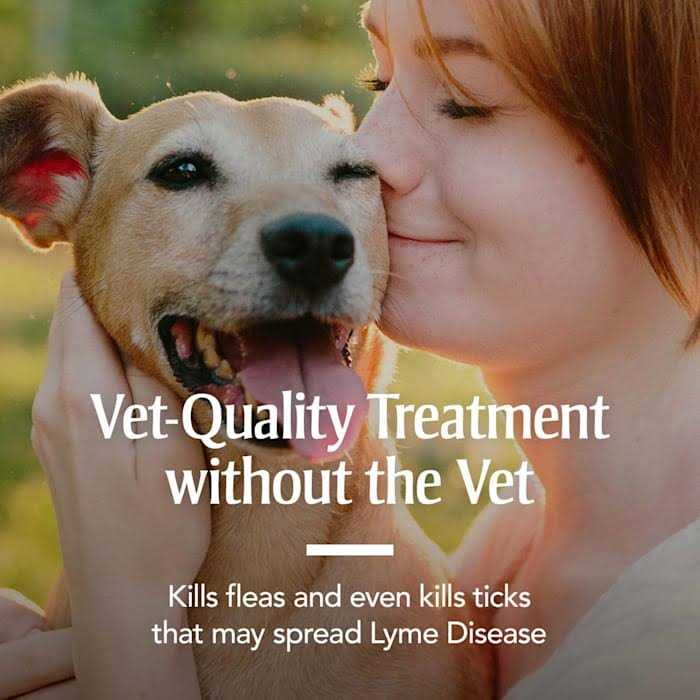 PetArmor Flea & Tick Collar for Dogs - Healthber