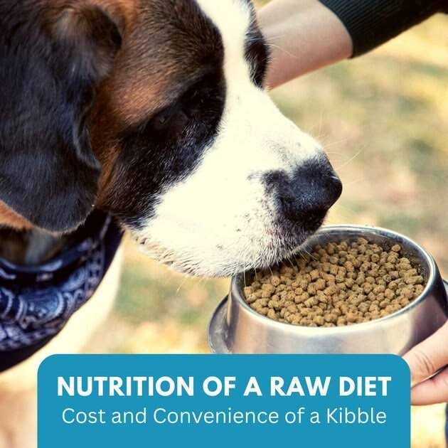 Ketona Chicken Recipe Adult Dry Dog Food Natural Low Carb High Protein - Healthber