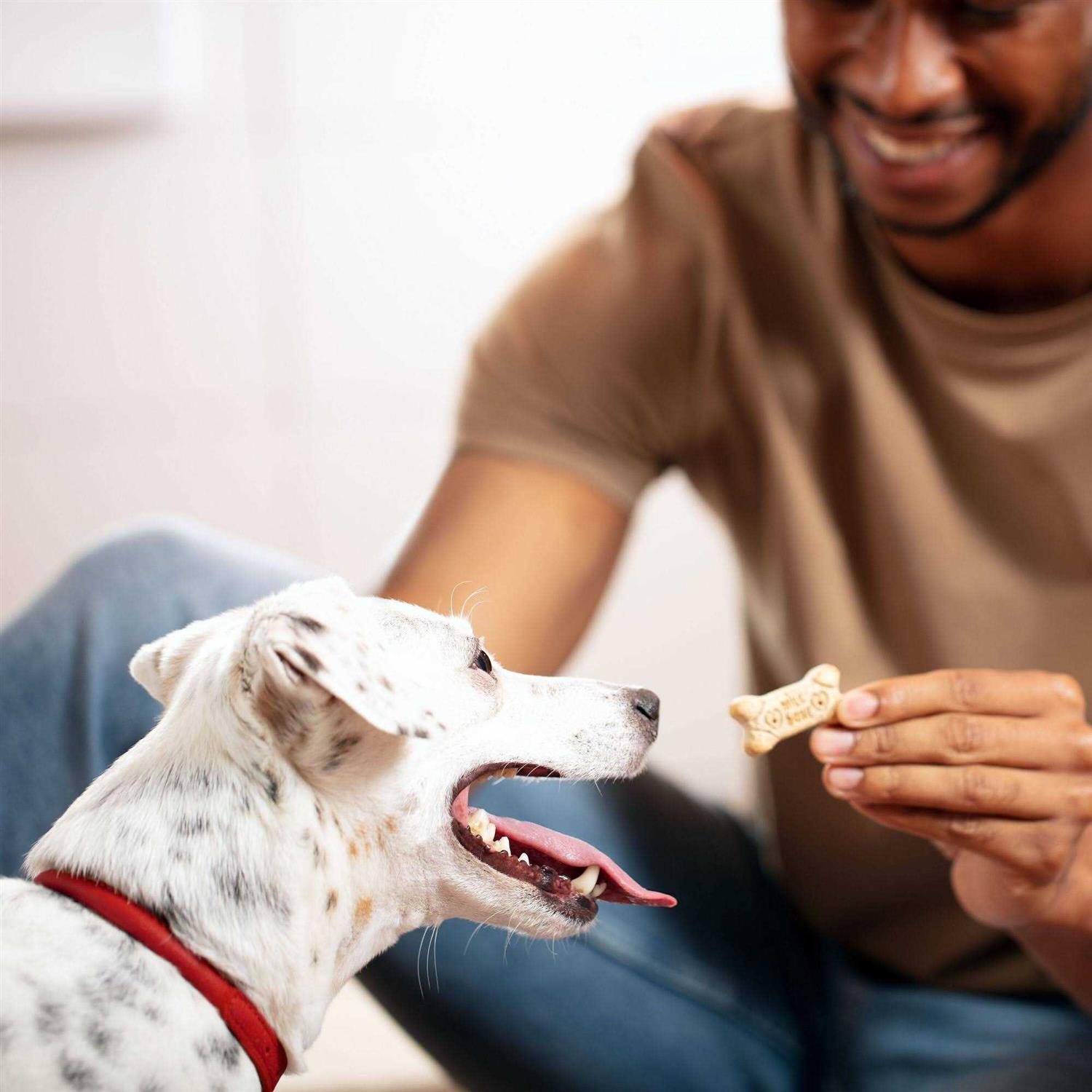 Milk-Bone Mini Dog Biscuits - Healthber
