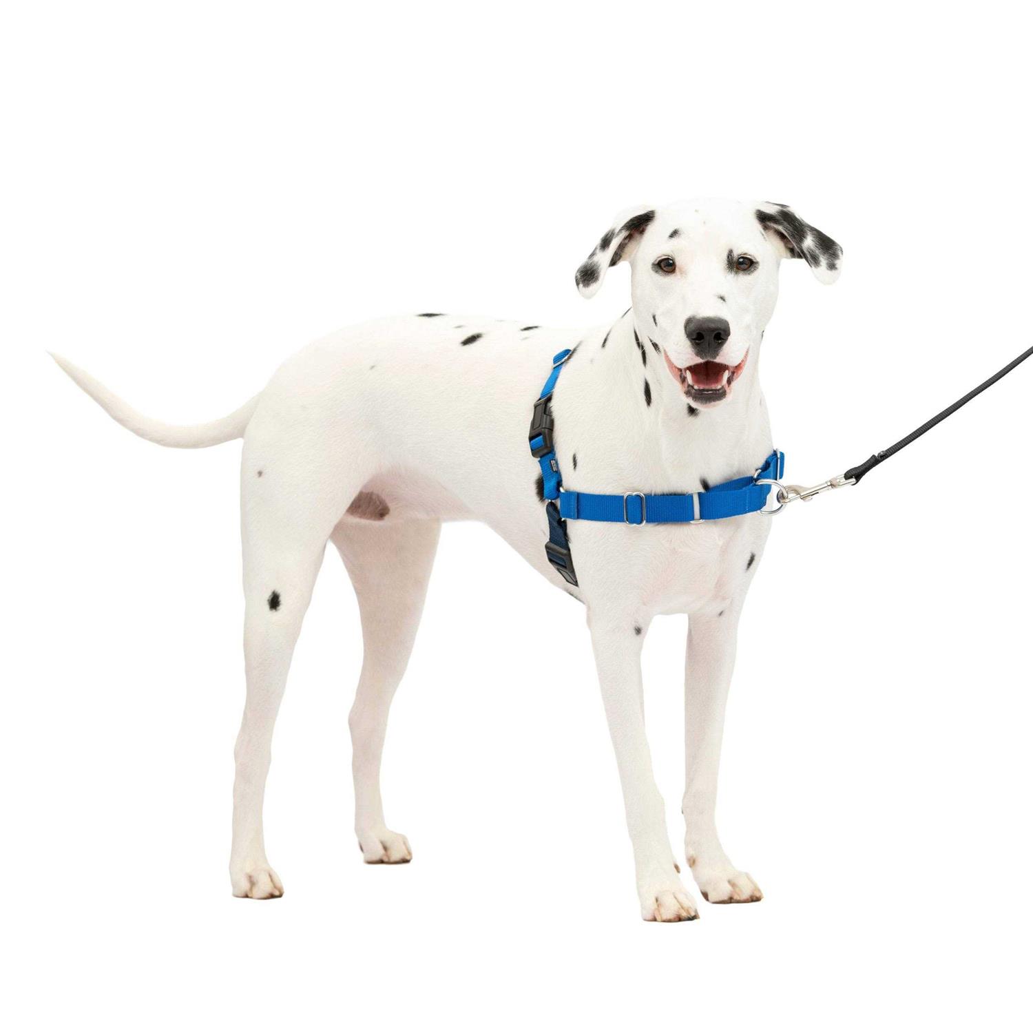 PetSafe Easy Walk Dog Harness - Healthber