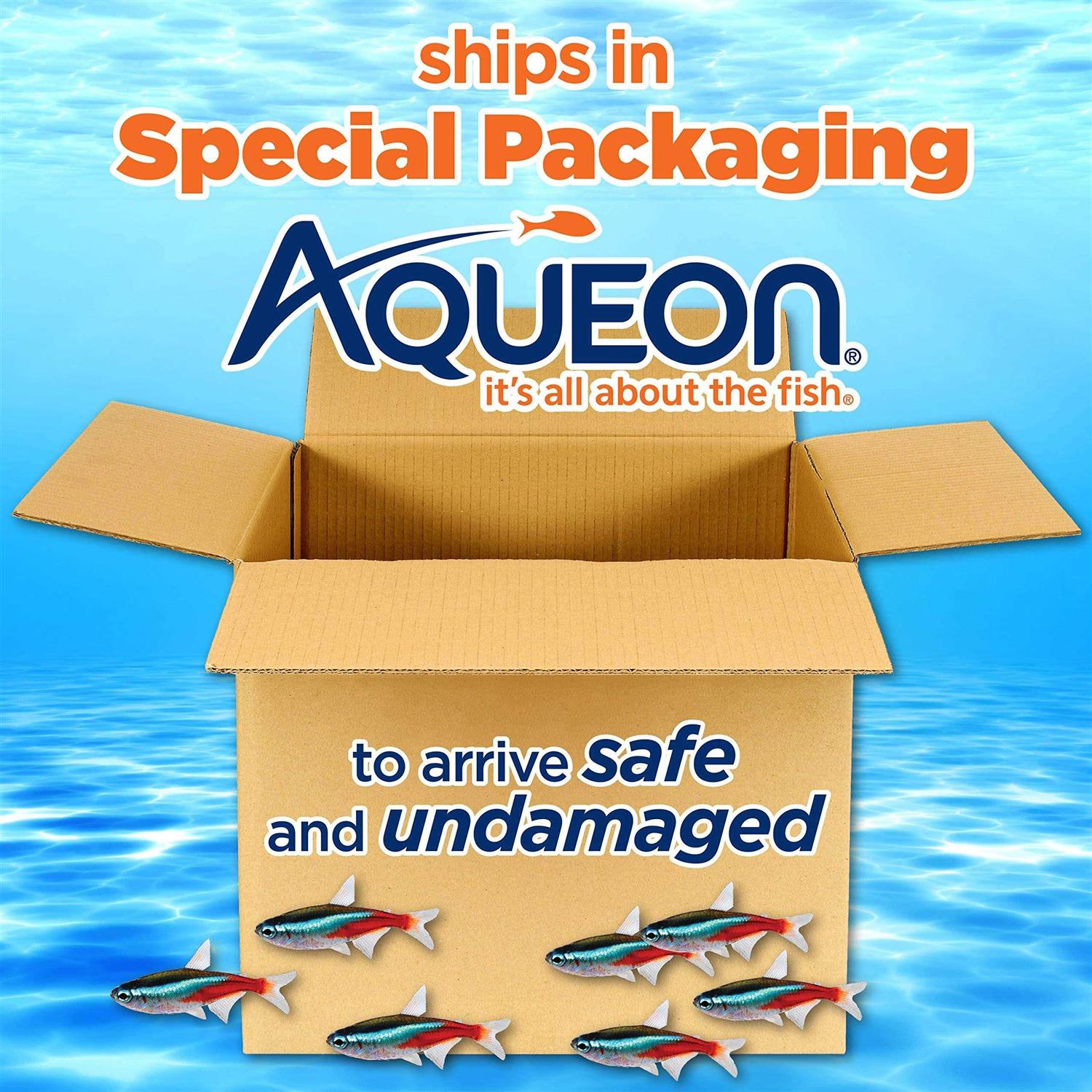 Aqueon Standard Glass Rectangle - Healthber