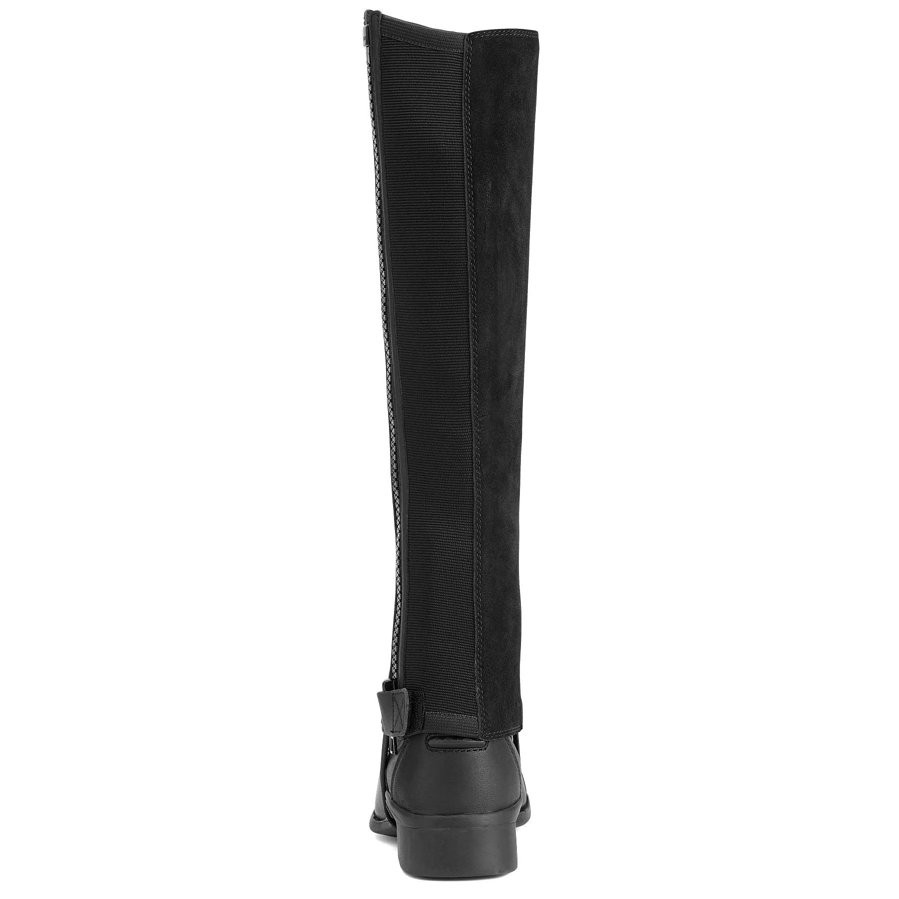 Ariat Scout Half Chap, Adult, Black - Healthber