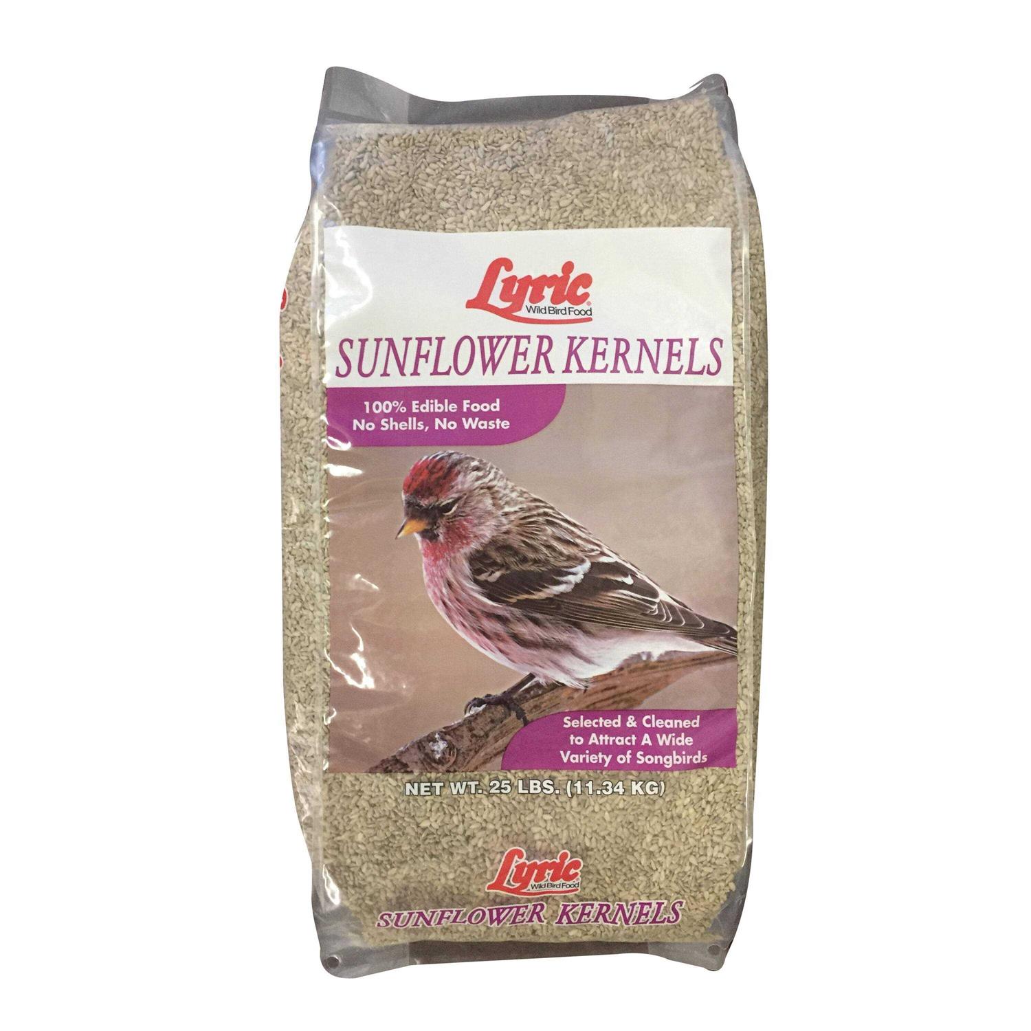 Lyric Sunflower Kernels - Healthber
