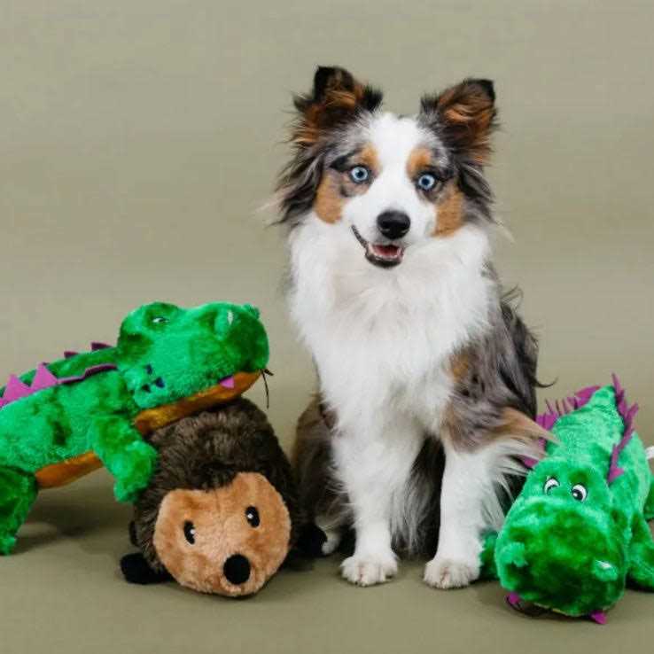ZippyPaws Hedgehog Dog Toy - Healthber