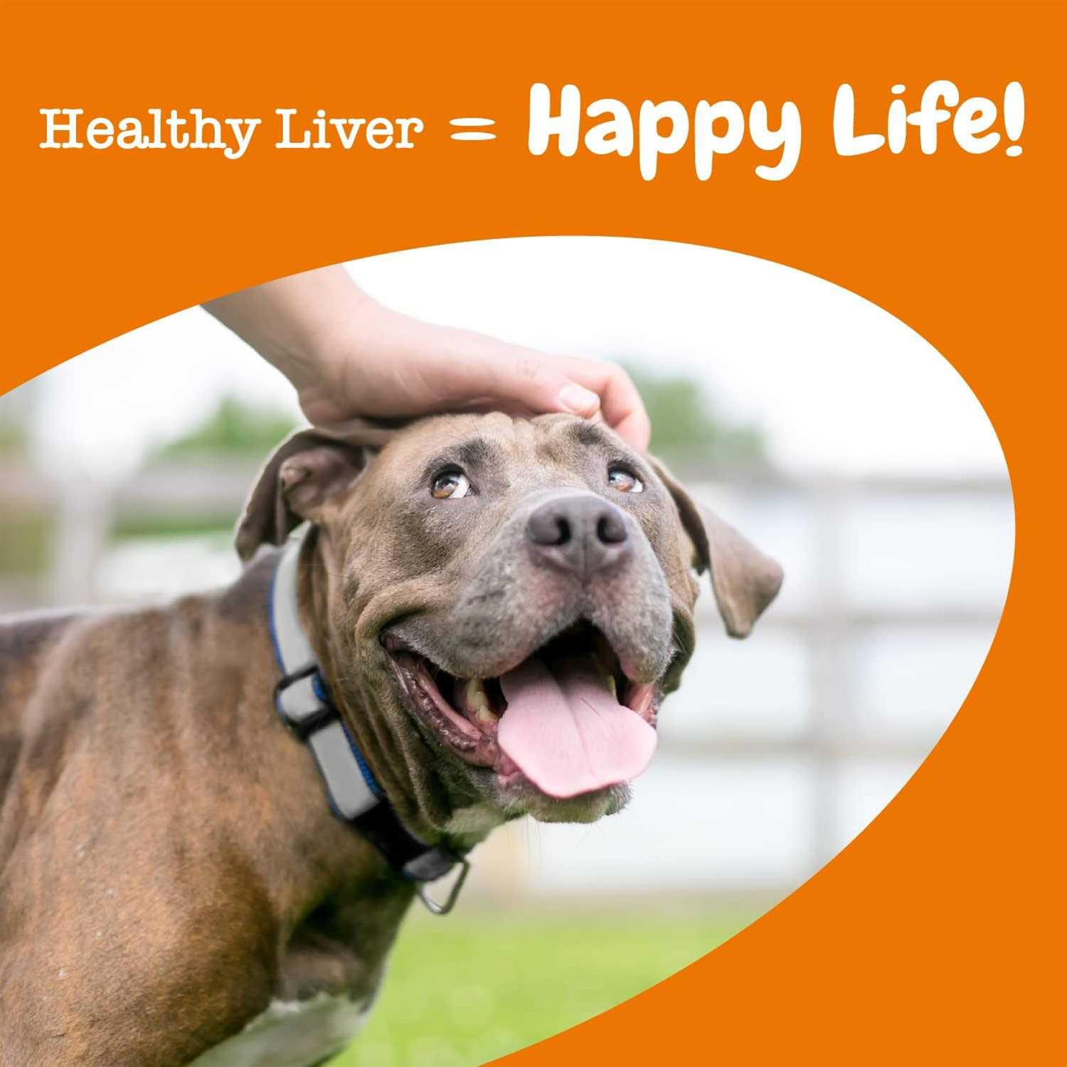Zesty Paws Liver Support Bites for Dogs - Healthber