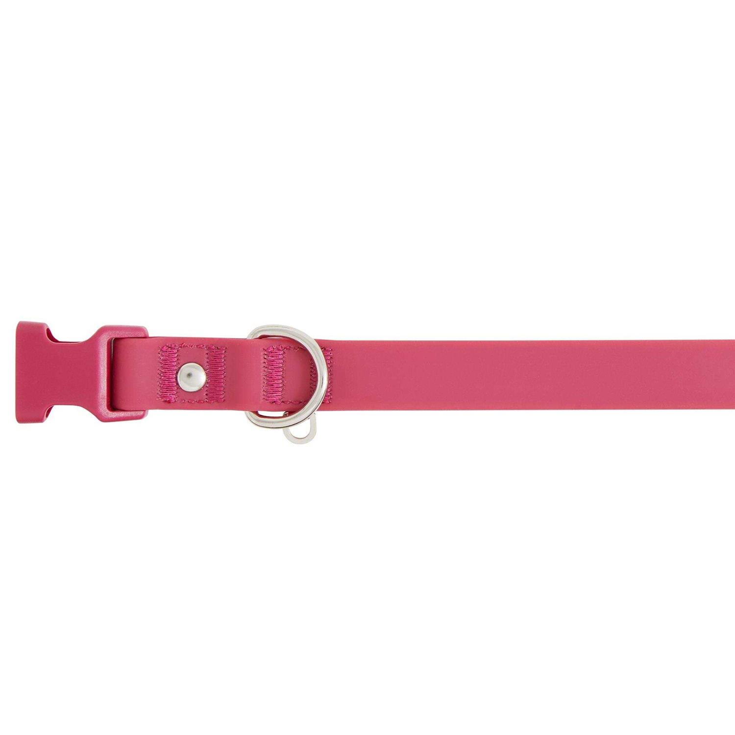 Top Paw Core Fashion Dog Collar - Healthber
