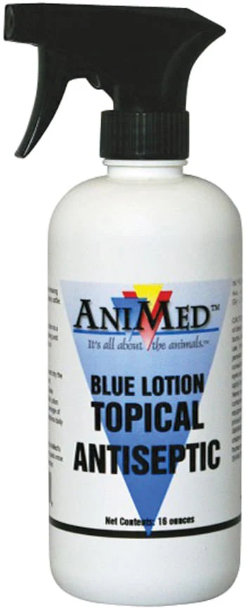 Blue Lotion Topical Antiseptic, 16 oz - Healthber