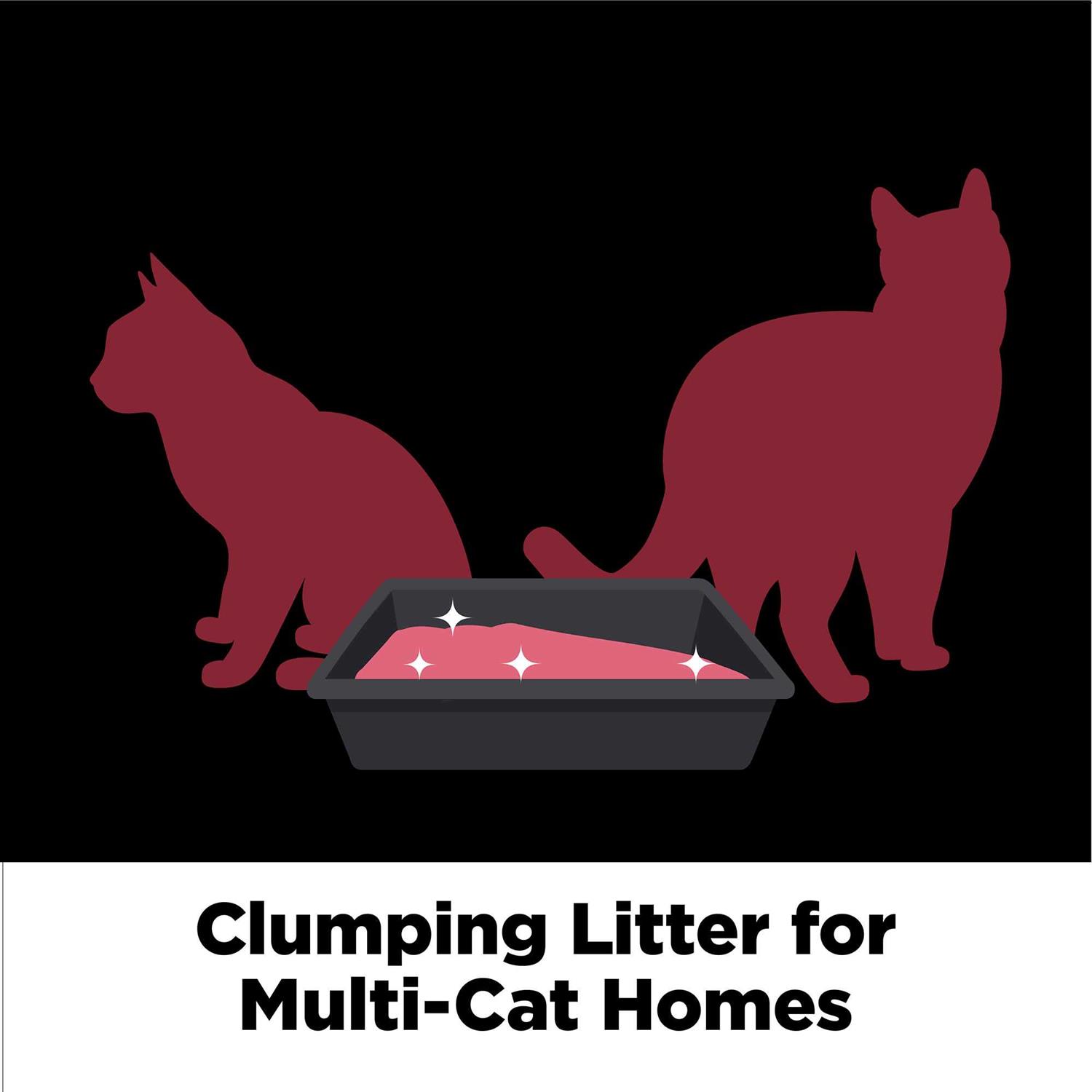 Arm & Hammer Clump & Seal Platinum Cat Litter - Healthber