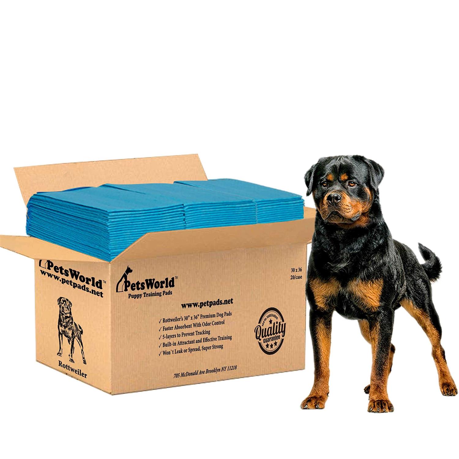 Petsworld Extra Large Potty Pads for Dogs - Healthber