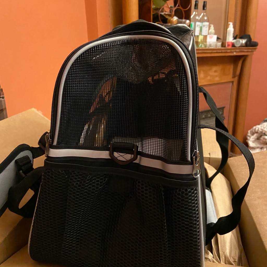 Frisco Basic Dog & Cat Carrier Bag - Healthber