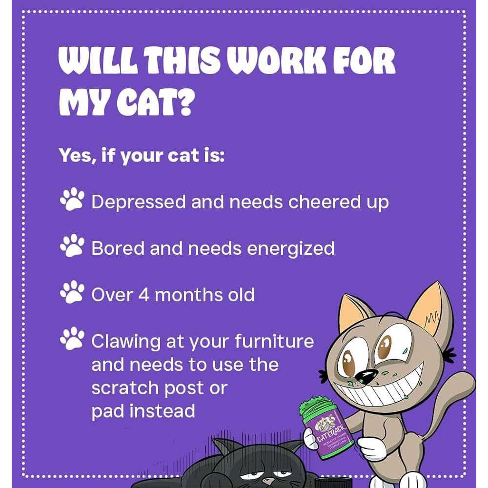 Cat Crack Catnip Blend Cats - Healthber