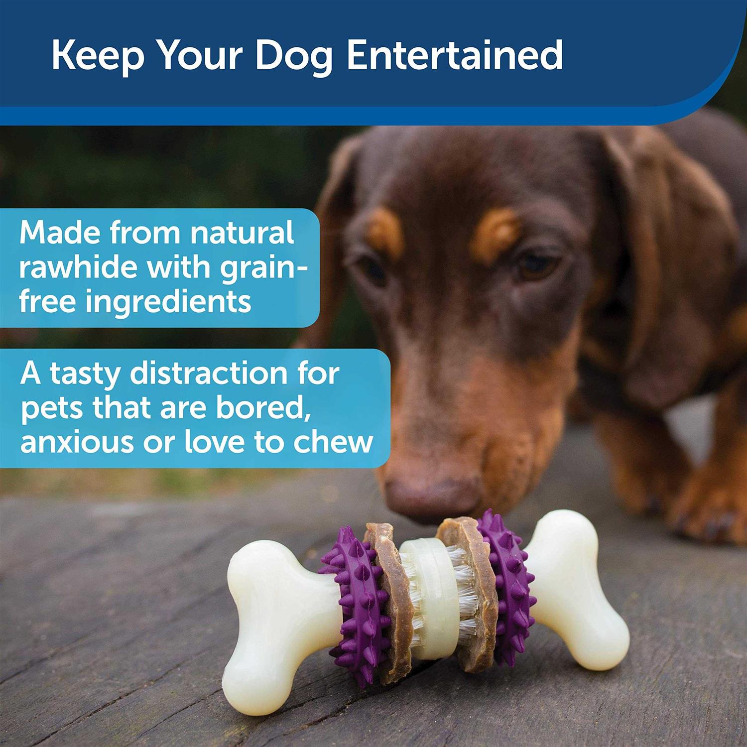 Busy Buddy Bristle Bone - Healthber